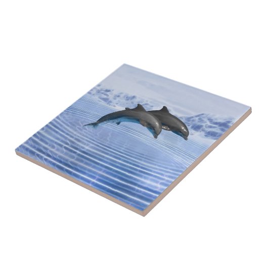 Dolfijnen in het heldere blauwe zee tegeltje (Zijkant)