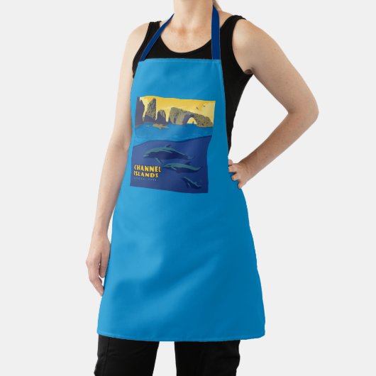 Dolfijnen in het Nationaal Park van de Kanaaleilan Schort (Insitu)