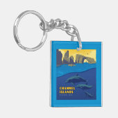 Dolfijnen in het Nationaal Park van de Kanaaleilan Sleutelhanger (Voorkant Links)