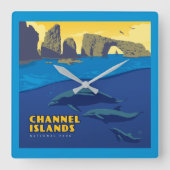 Dolfijnen in het Nationaal Park van de Kanaaleilan Vierkante Klok (Voorkant)