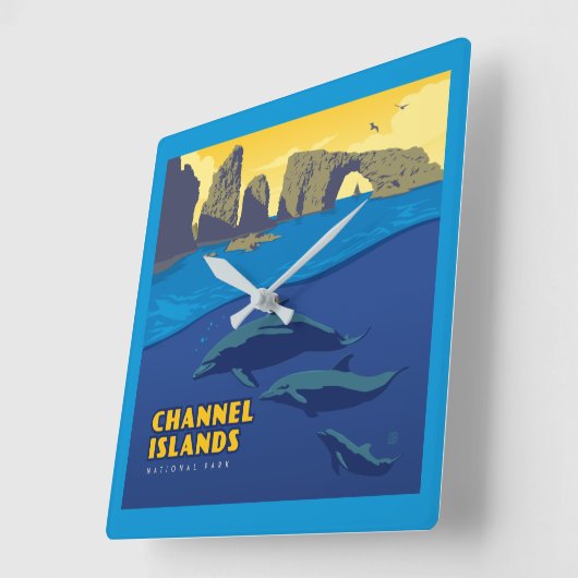 Dolfijnen in het Nationaal Park van de Kanaaleilan Vierkante Klok (Hoek)