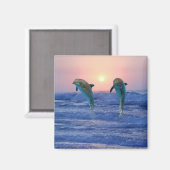Dolfijnen in zonsopgang magneet (Voorkant / Achterkant)