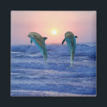 Dolfijnen in zonsopgang magneet<br><div class="desc">Het evenwicht tussen de mens, de natuur en de dieren vereist een bewuste inspanning van onze kant. De dolfijn is de houder van de oceanen samen met de walvis.</div>