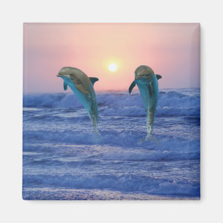 Dolfijnen in zonsopgang magneet