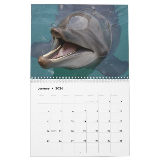 dolfijnen kalender (Jan 2026)