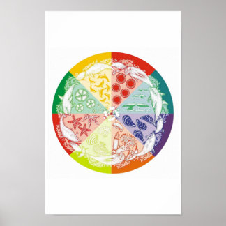 Dolfijnen leveren poster