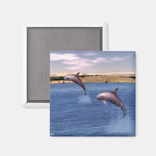 Dolfijnen Magneet (Voorkant / Achterkant)