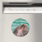 Dolfijnen Magneet (Insitu (Vaatwasser))
