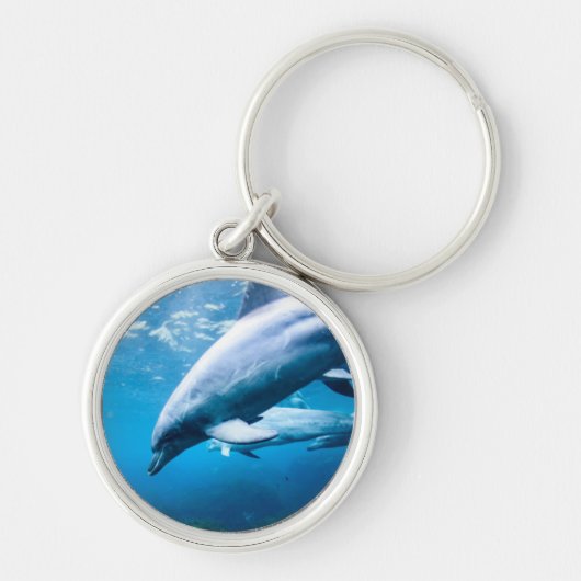 Dolfijnen Onderwater Sleutelhanger (Voorkant)