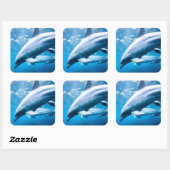 Dolfijnen Onderwater Vierkante Sticker (Vel)