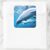 Dolfijnen Onderwater Vierkante Sticker (Tas)