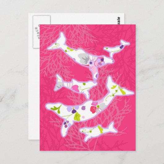 Dolfijnen op een effen roze achtergrond. briefkaart (Voorkant / Achterkant)