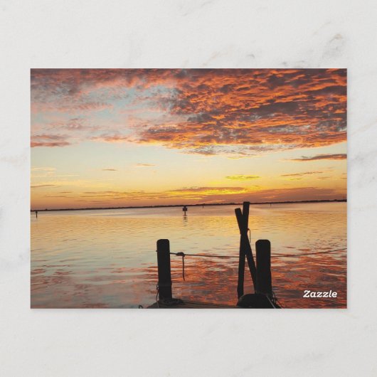 Dolfijnen op Sunset Save Our Date Kaart (Achterkant)