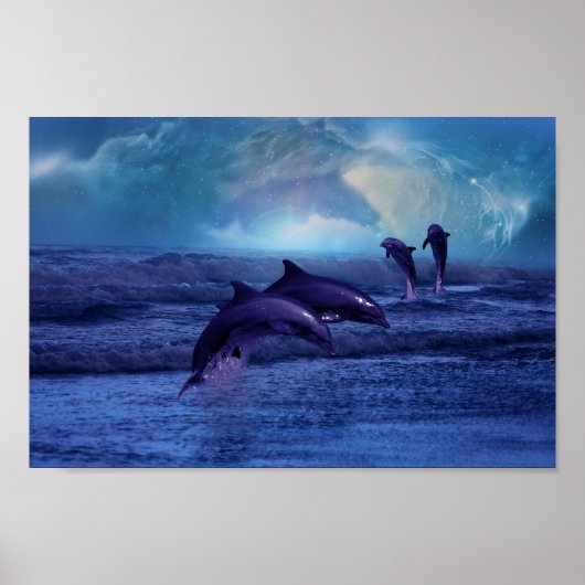 Dolfijnen plezier en spelen poster (Voorkant)