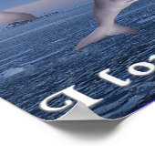 dolfijnen poster (Hoek)