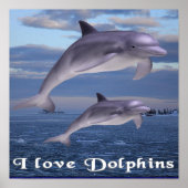 dolfijnen poster (Voorkant)