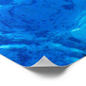 dolfijnen poster (Hoek)