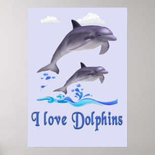 Dolfijnen Poster