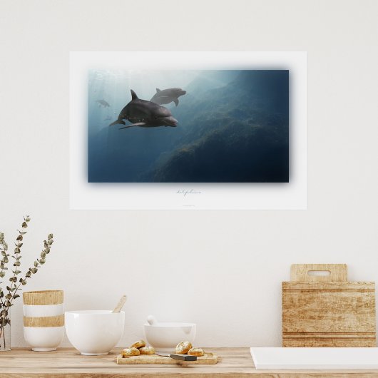 dolfijnen poster (Keuken)