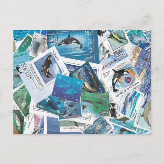 dolfijnen postzegels ansichtkaart briefkaart (Voorkant)