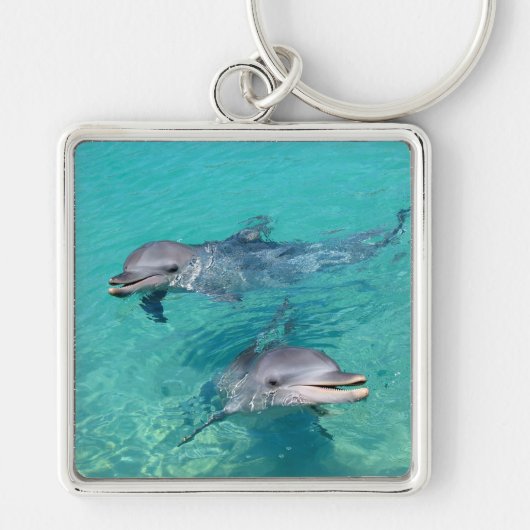 Dolfijnen Sleutelhanger (Voorkant)