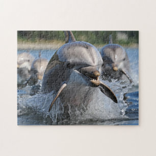 Dolfijnen Spel Puzzel