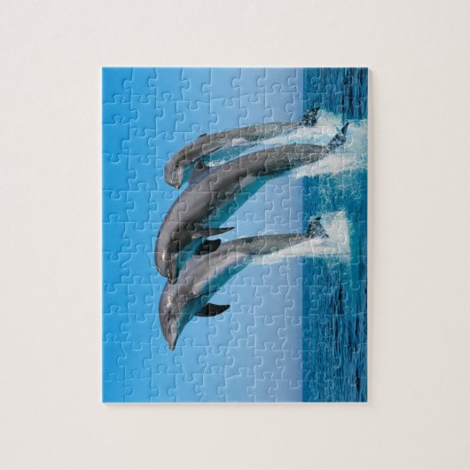 Dolfijnen Spel Puzzel Legpuzzel (Verticaal)