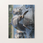 Dolfijnen Spel Puzzel Legpuzzel (Verticaal)