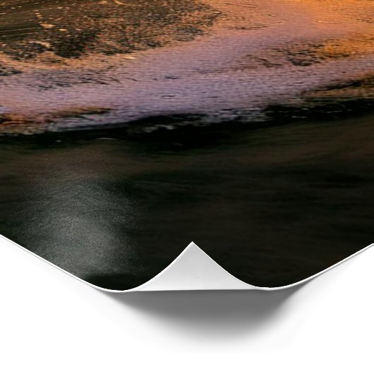 Dolfijnen springen en spetteren perfect poster (Hoek)