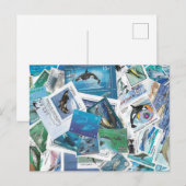 Dolfijnen Stamps briefkaart (Voorkant / Achterkant)