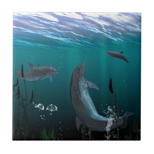 dolfijnen tegeltje (Voorkant)