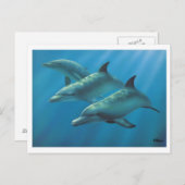 Dolfijnen van Andrew Patsalou Briefkaart (Voorkant / Achterkant)