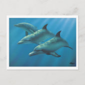 Dolfijnen van Andrew Patsalou Briefkaart (Voorkant)