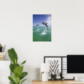 Dolfijnen van flessenmelk, Tursiops truncatus) 4 Poster (Thuiskantoor)