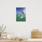 Dolfijnen van flessenmelk, Tursiops truncatus) 4 Poster (Keuken)