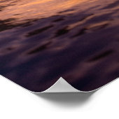 Dolfijnen van flessenmelk, Tursiops truncatus) 8 Poster (Hoek)