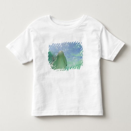 Dolfijnen van flessenmelk (Tursiops truncatus) Kinder Shirts (Voorkant)