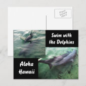 Dolfijnen van Hawaii Briefkaart (Voorkant / Achterkant)