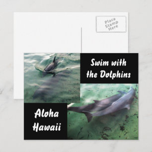 Dolfijnen van Hawaii Briefkaart