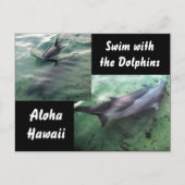Dolfijnen van Hawaii Briefkaart (Voorkant)