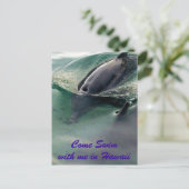 Dolfijnen van Hawaii Briefkaart (Staand voorkant)