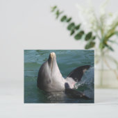 Dolfijnen verzachten briefkaart (Staand voorkant)