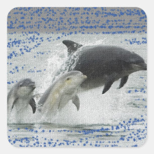Dolfijnen Vierkante Sticker