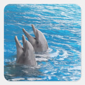 Dolfijnen Vierkante Sticker (Voorkant)