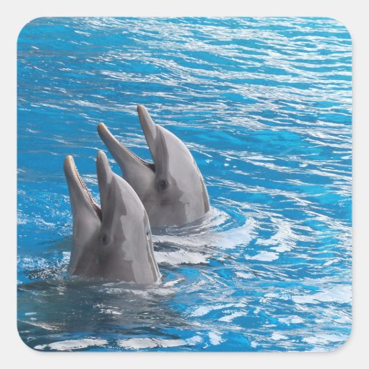 Dolfijnen Vierkante Sticker (Voorkant)