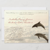 Dolfijnen - Weddenschap Kaart (Achterkant)