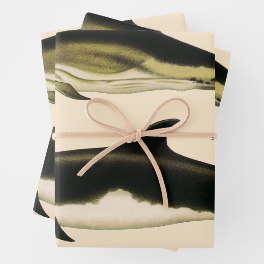  dolfijnen, zeedieren en zoogdieren inpakpapier vel (In situ)