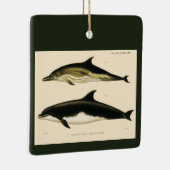  dolfijnen, zeedieren en zoogdieren keramisch ornament (Rechts)