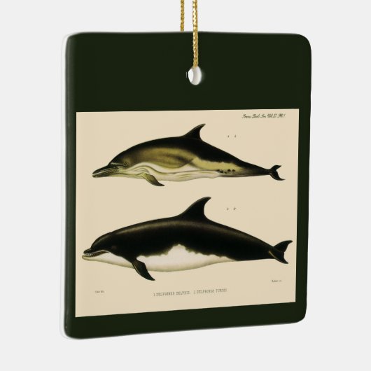  dolfijnen, zeedieren en zoogdieren keramisch ornament (Rechts)