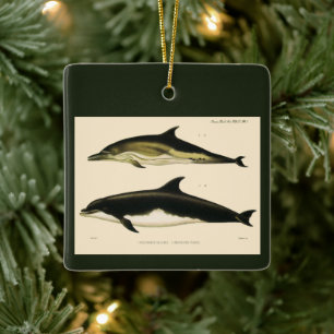 dolfijnen, zeedieren en zoogdieren keramisch ornament